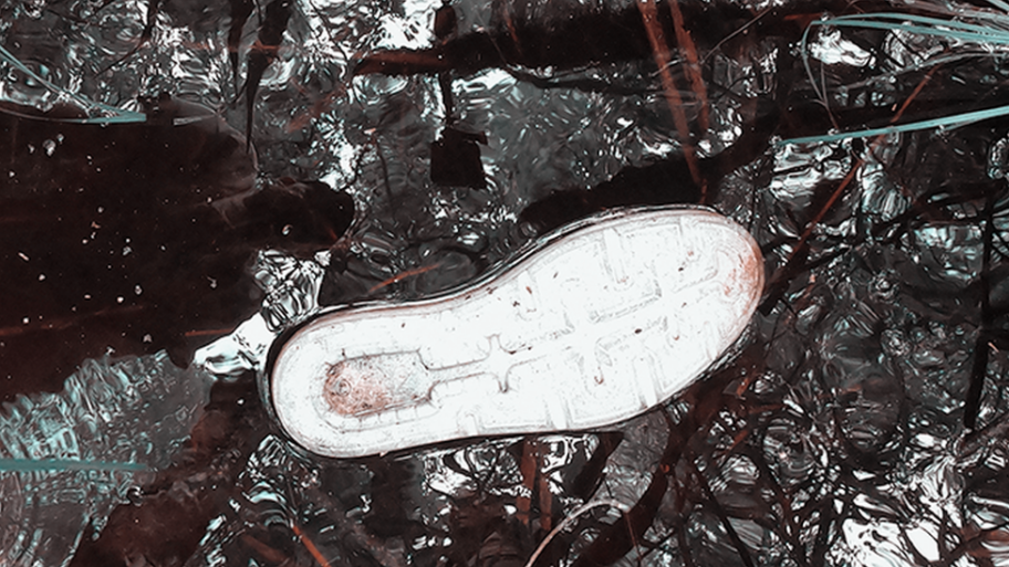 114396037 bakhov cps 11 nc