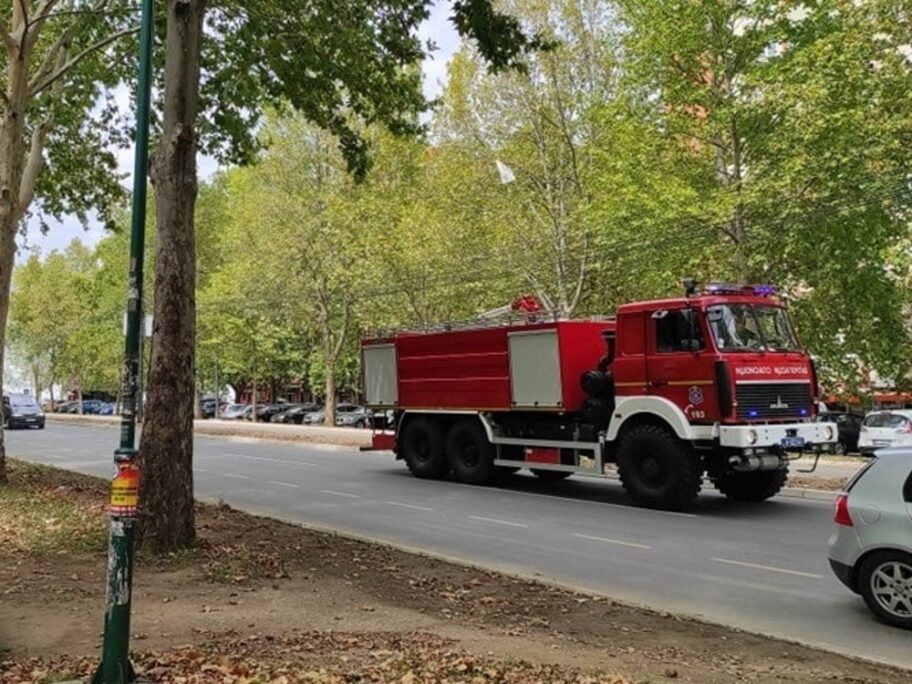 Webp net resizeimage 5