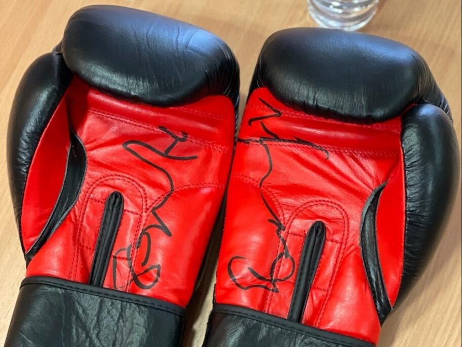 Rukavice bivšeg šampiona u boksu Nenada Borovčanina na licitaciji Lokalne fondacije Niš 14 Webp net resizeimage 6