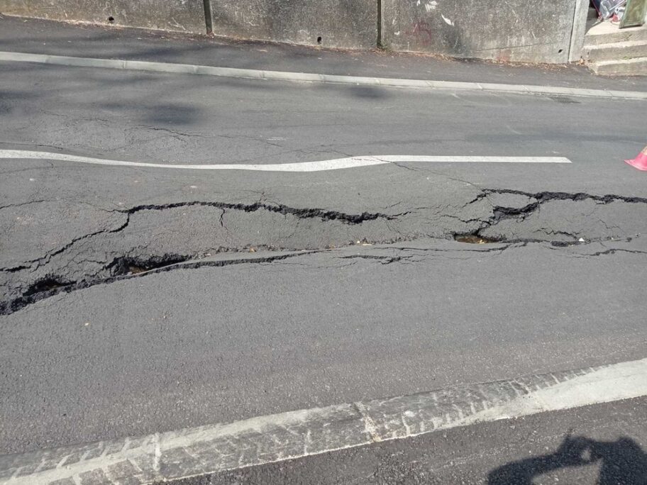 Webp net resizeimage 4