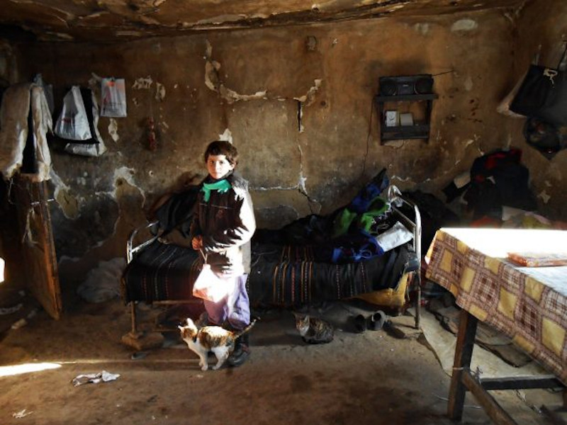 Novica Cvetković - fotografija