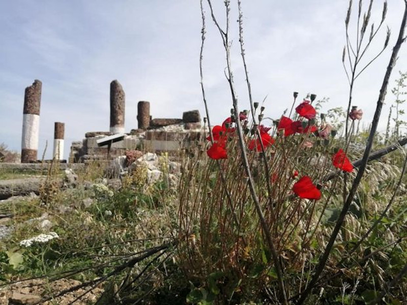 Slađana Tasić - fotografija