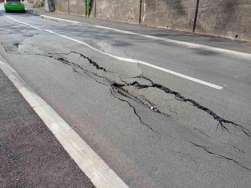 svetolika rankovića