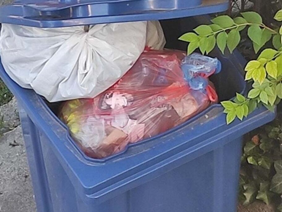 Nišlije se žale da se kante za reciklažno smeće ne prazne već nedeljama, iz "Mediane" bez odgovora 20 plava kanta foto citalac