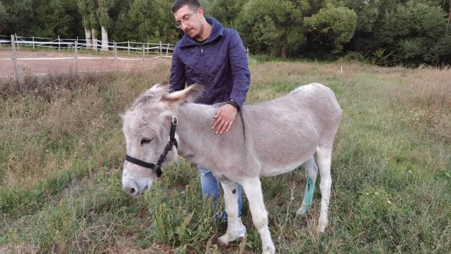 120428577 imagefromios 58