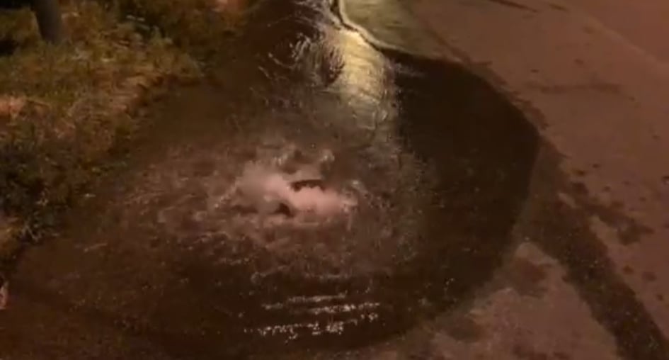 240626523_844332409561588_5414853852918797904_n