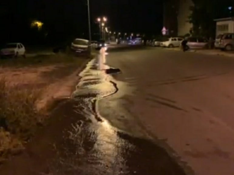 241187285 337297381376226 560954623553044546 n