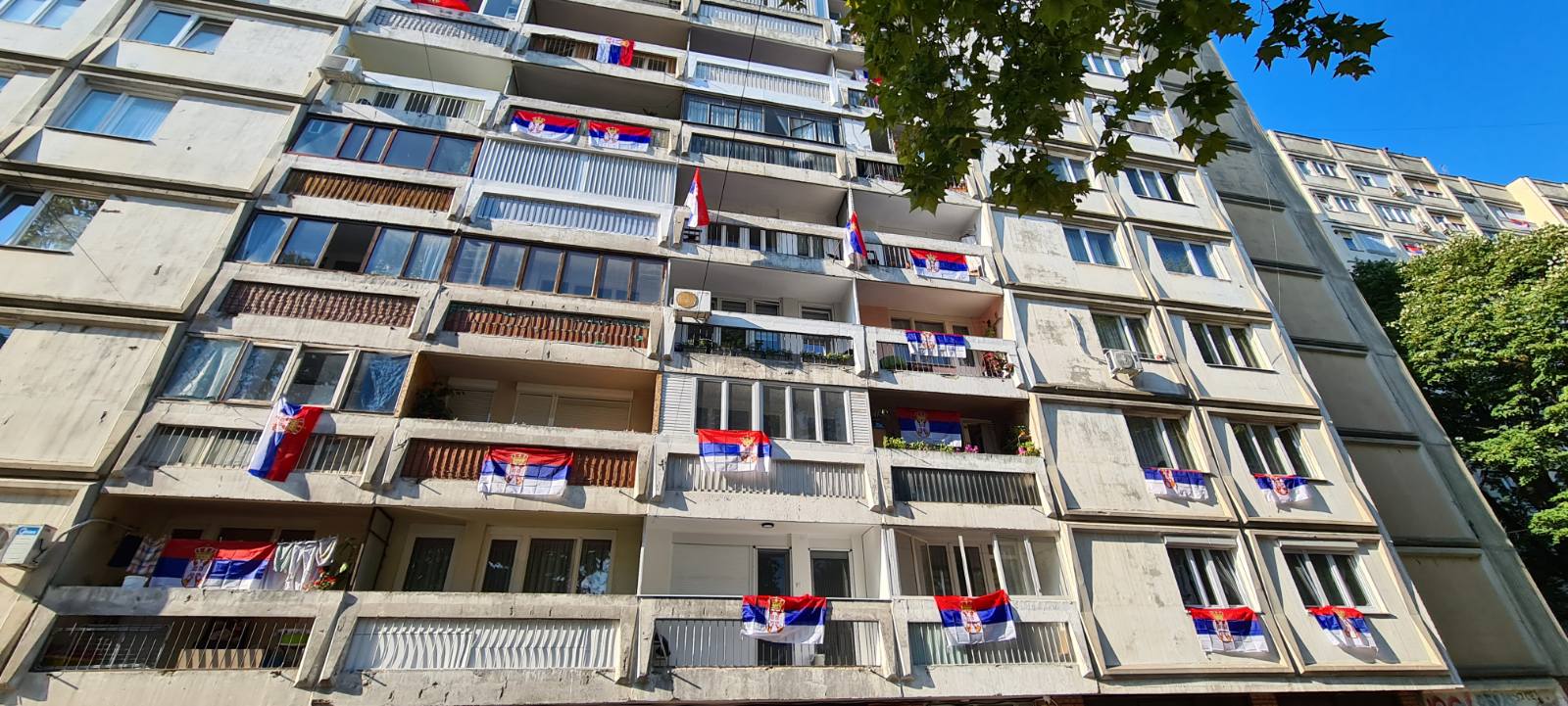 zastave-foto-gomedijana