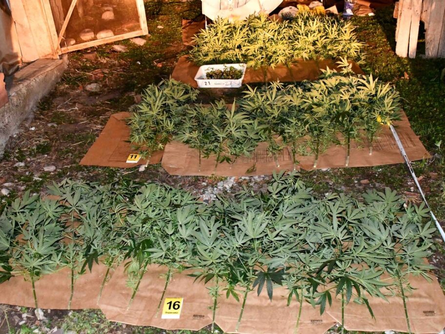 Webp net resizeimage 17