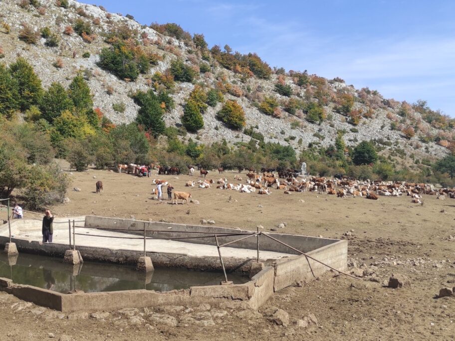 1631810445217 scaled