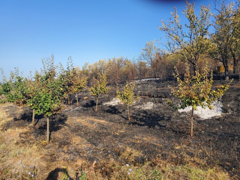 Još bez procene štete od požara koji je zahvatio dva sela kod Gadžinog Hana 19 1631892857453