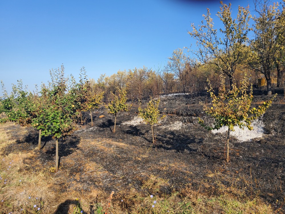 Još bez procene štete od požara koji je zahvatio dva sela kod Gadžinog Hana 1 1631892857453