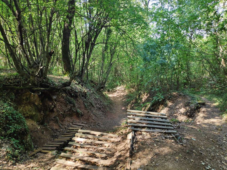 242272269_2994801987430091_6921483192565077828_n