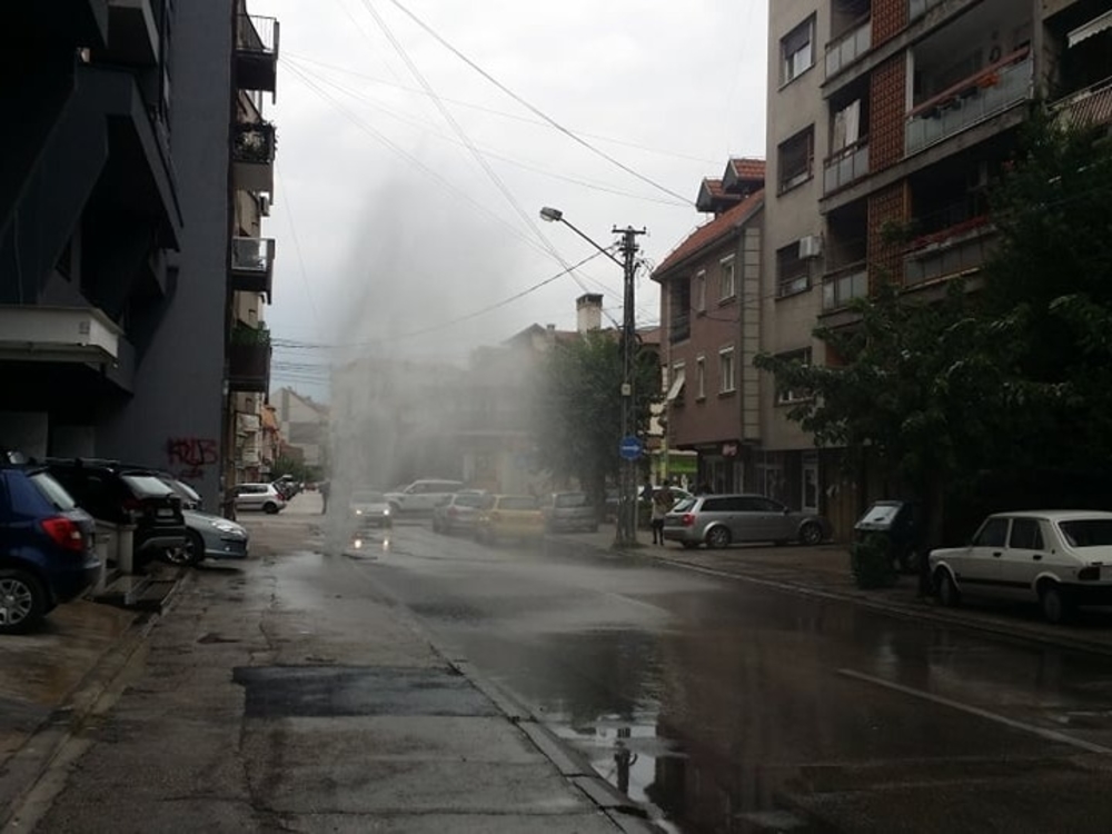 Webp net resizeimage 22