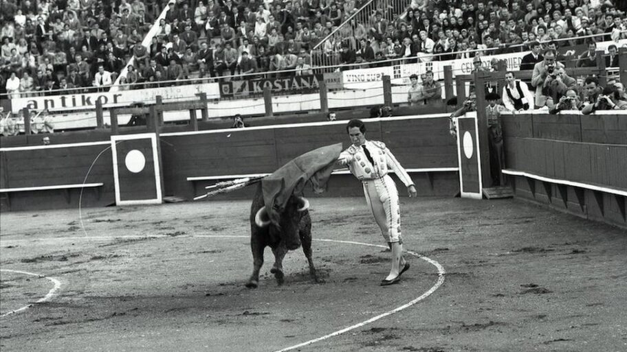 120742030 0953292d fdb3 40b6 8555 d6952ef75d3d