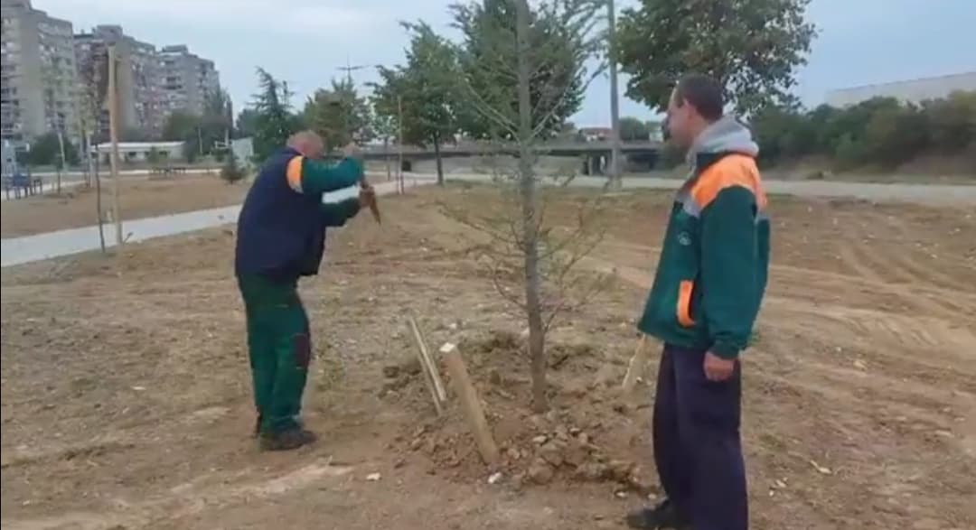 244374578_349222276952353_6225939519522069671_n