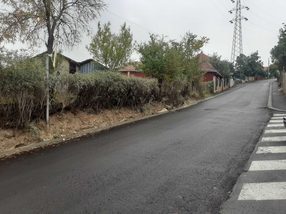 svetolika rankovića