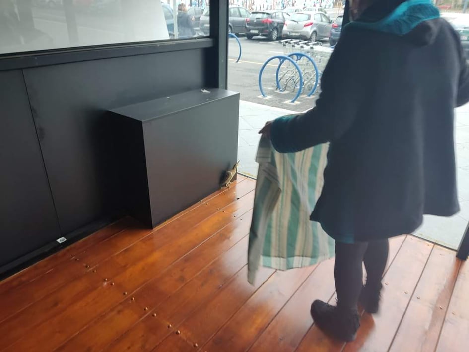 245496909_149389487343177_3735011977606868364_n