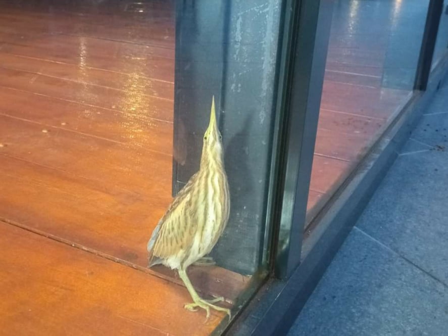 245691913 347116347169719 7026232542164817907 n