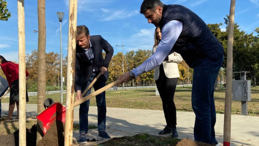 121169220 imagefromios 6