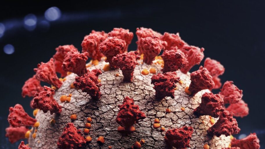 114872308 gettyimages 1212213050