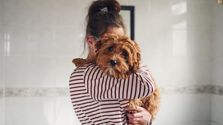 121235744 mediaitem121235740