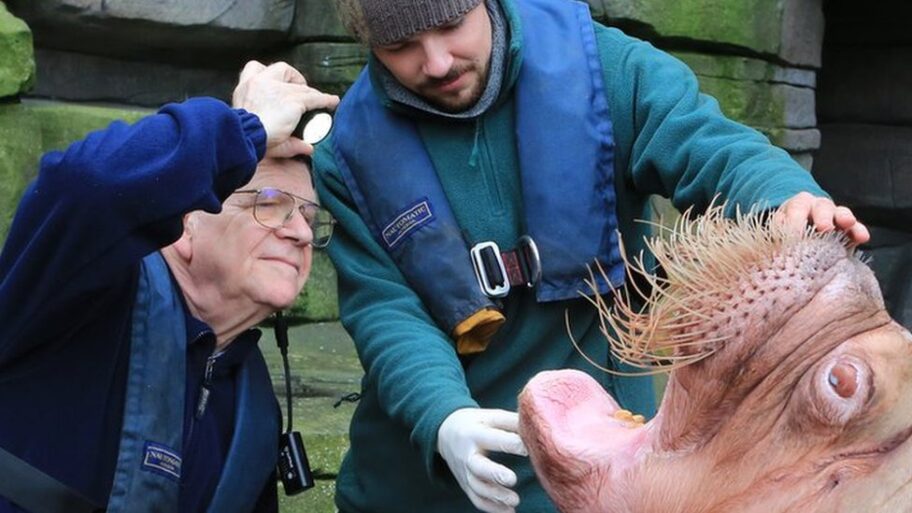 121321359 credit monikamazurkiewicz