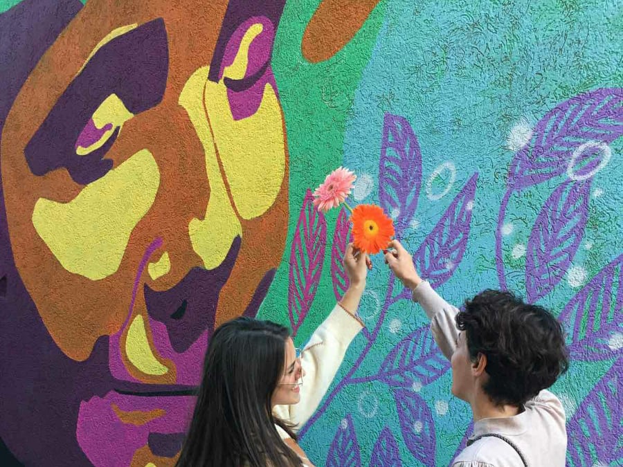 252063324 1308454849614927 644473064417177513 n