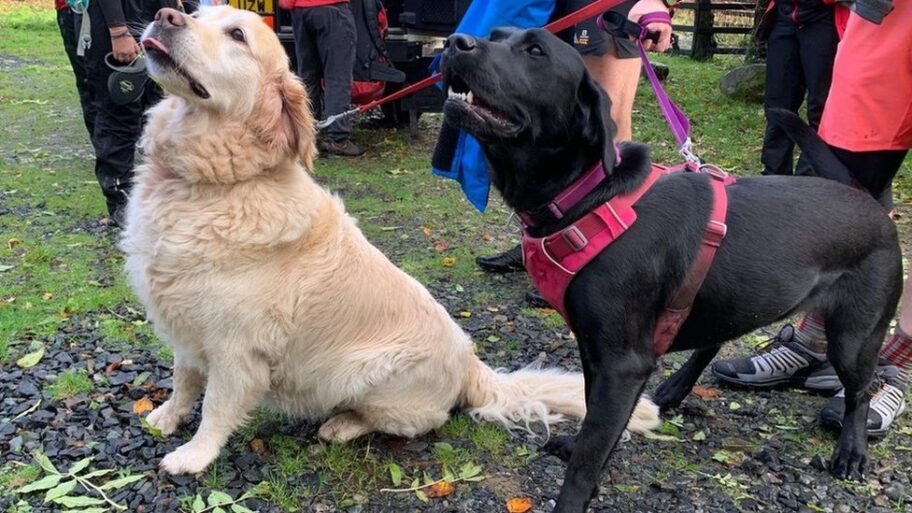 121277643 mediaitem121277639