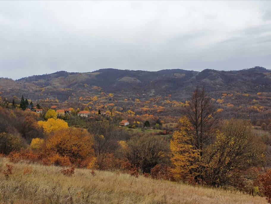 IMG 20211109 123922 scaled