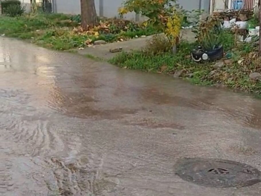 viber image 2021 11 10 12 25 3