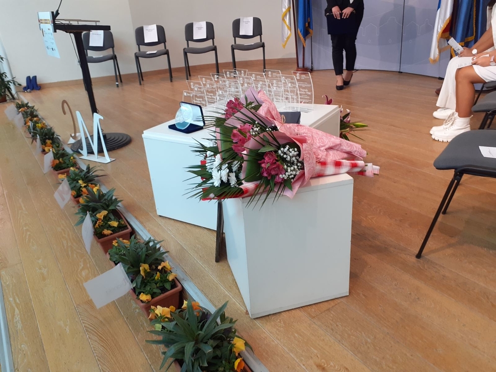 Webp.net-resizeimage (81)