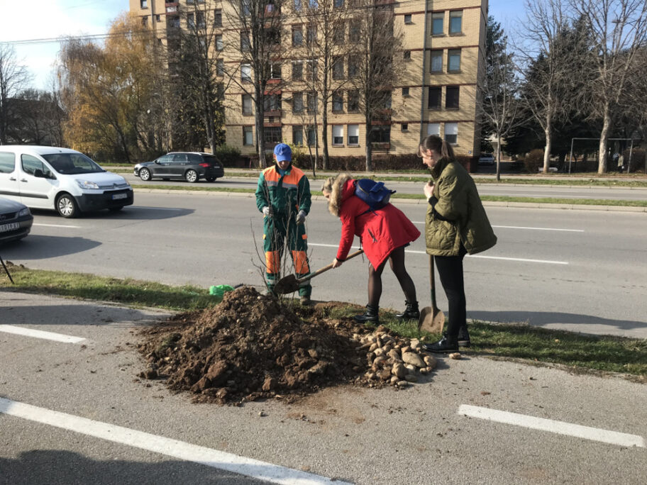 bc sadnice foto beterkolektiv