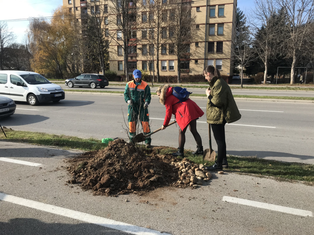 bc sadnice foto beterkolektiv
