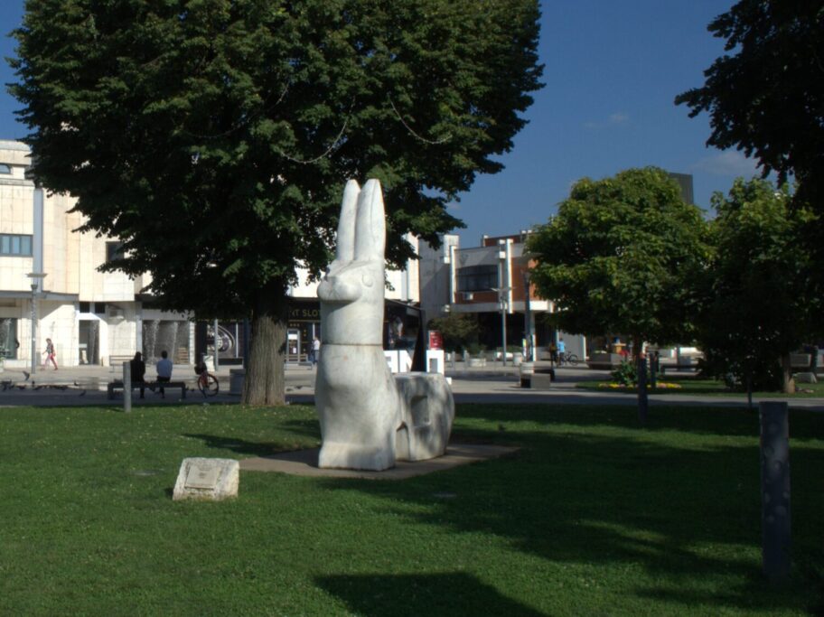 zec foto lj f scaled