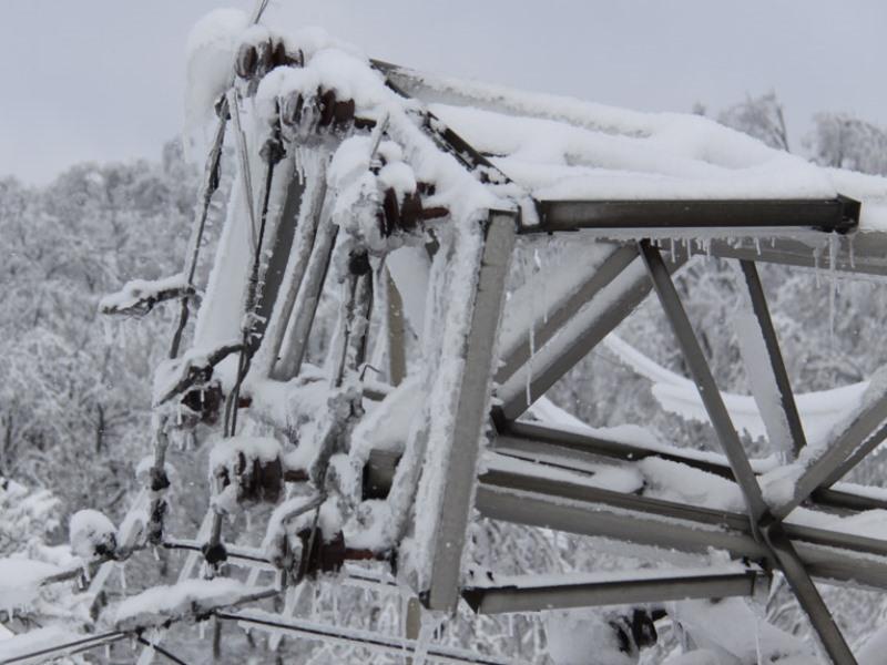 1280x0 vidic poseta kravare 03