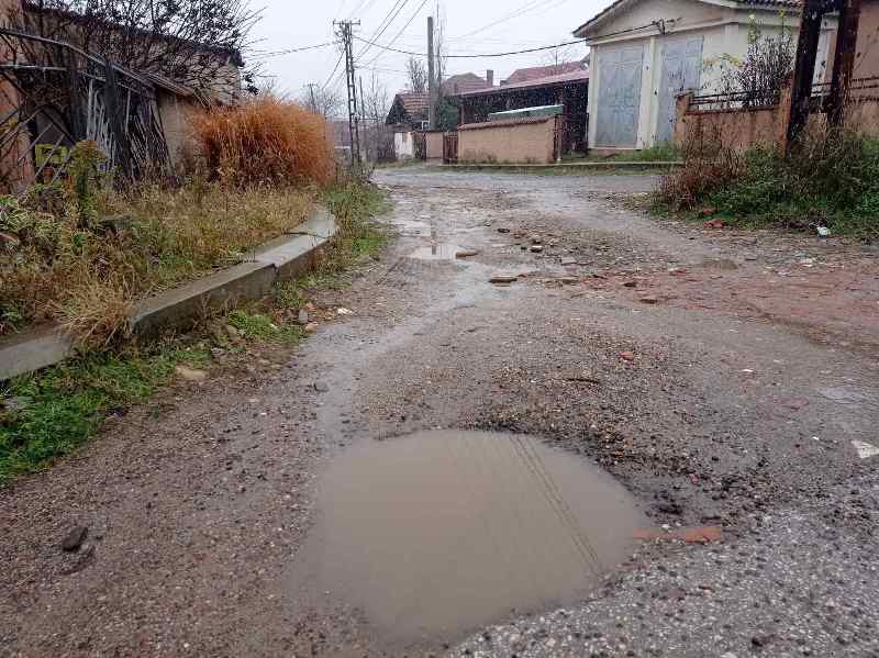 šumarska ulica pasi poljana