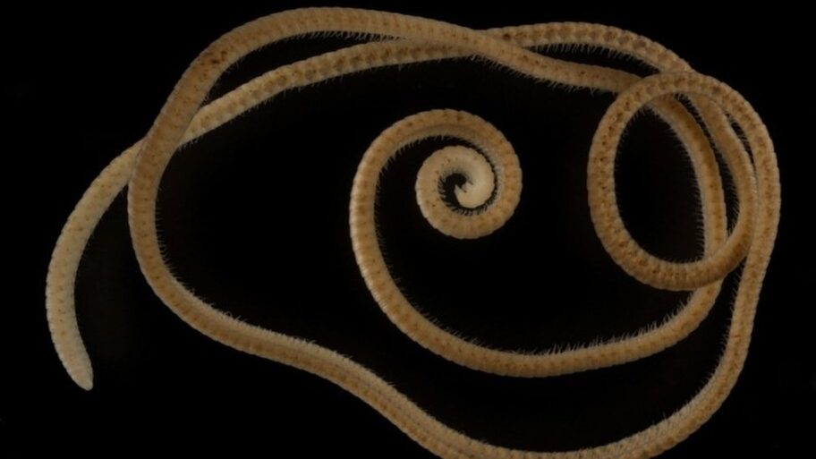 122244556 mediaitem122244552