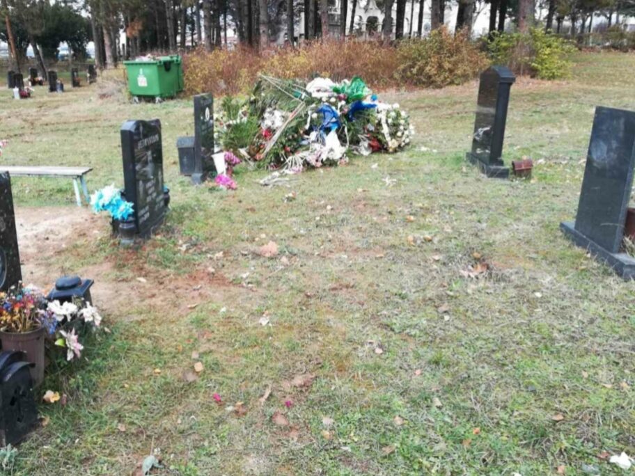 inbound7745380504026733296