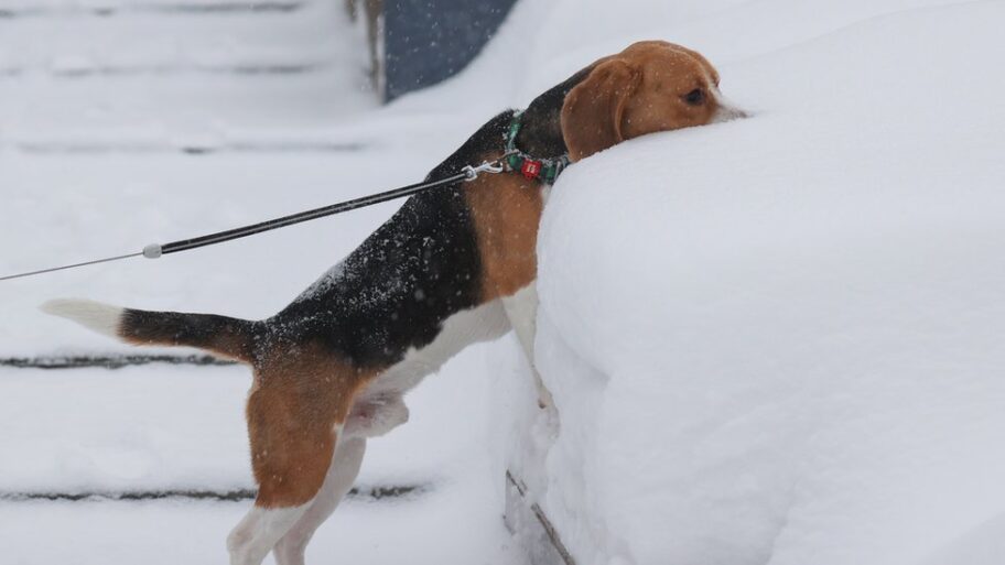 122313153 gettyimages 1237283963