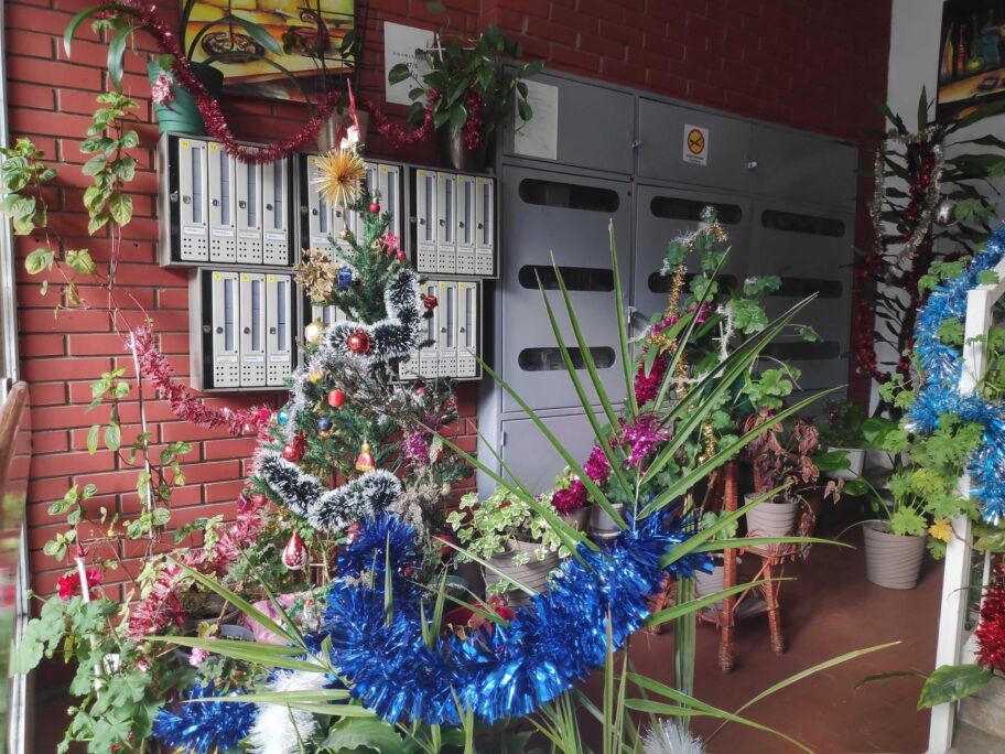 Stanari zgrade u Knjaževačkoj ukrasili ulaz novogodišnjom dekoracijom, dele deci i paketiće 1 img 20211221 102506 scaled