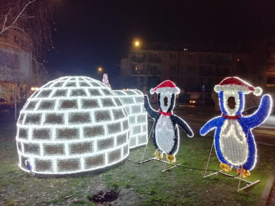 Nabavka nove i popravka stare novogodišnje dekoracije Vlasotinčane koštala više od 2,6 miliona dinara 13 IMG 20211220 213246 scaled