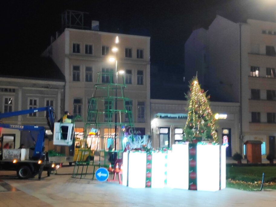 jelka foto a s scaled