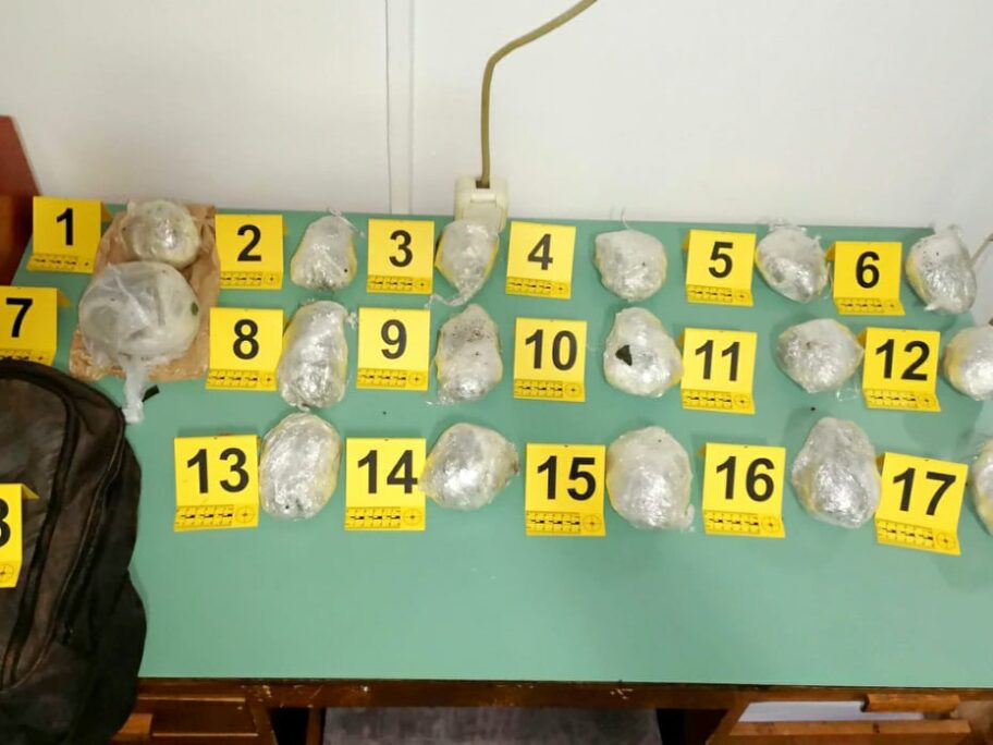 265189699 2529191250558342 8954420151843136168 n