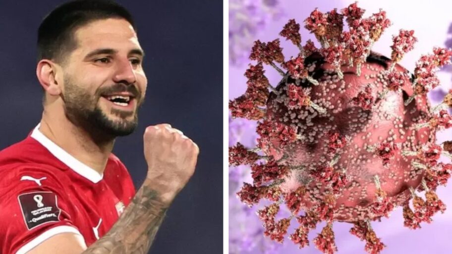 122329204 taseguglalousrbiji