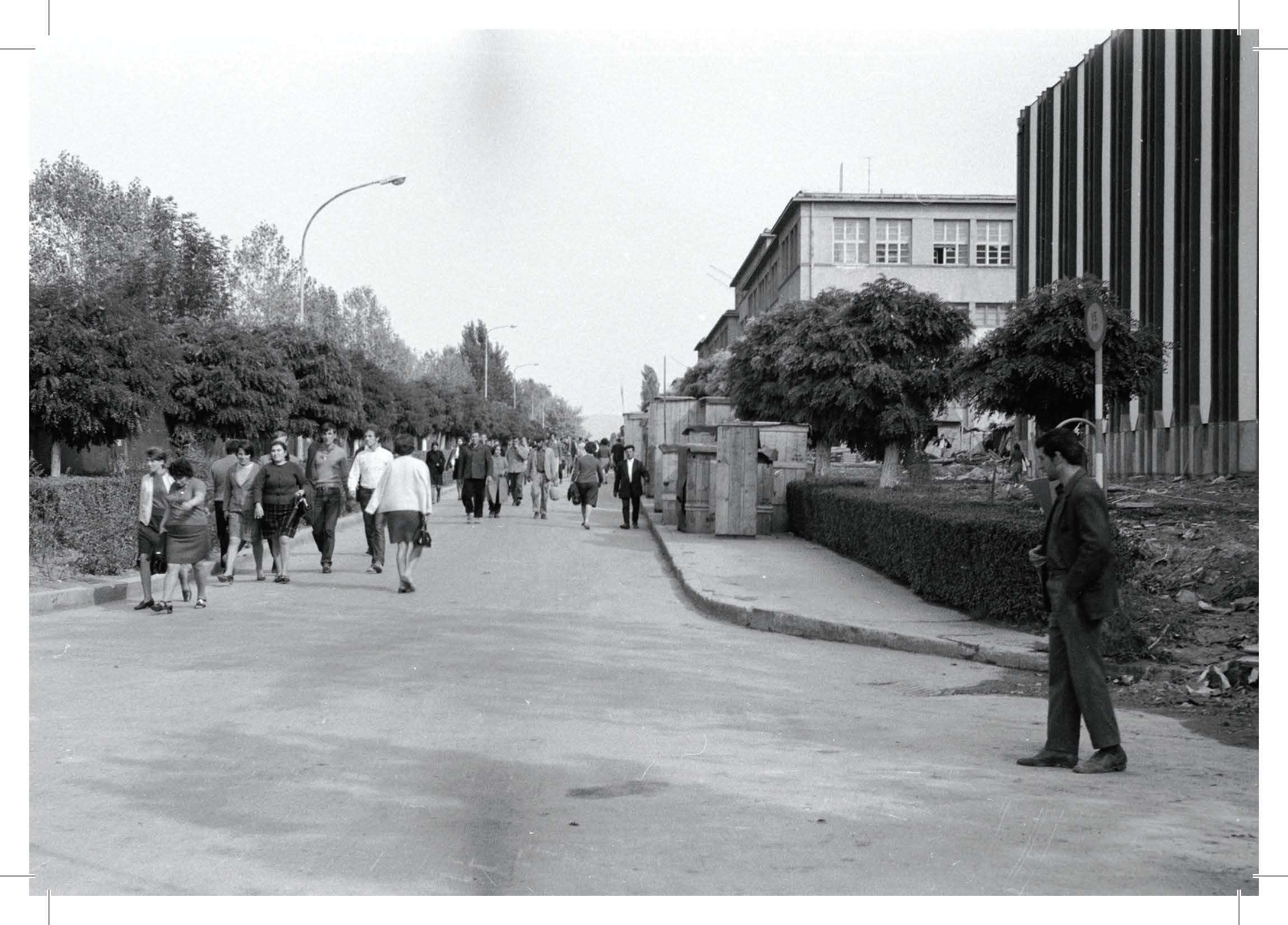 MJ Nis kutija Page 37