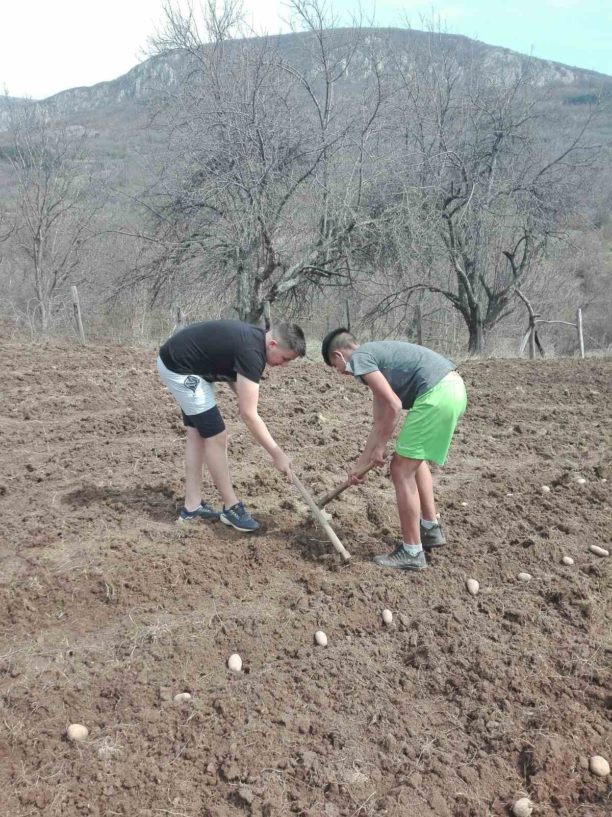 0 02 0a 9844330adfef6ab453963c3c276eecf6b62ff484236db427dfd626bd2651b10d 7ad93b6b45561216