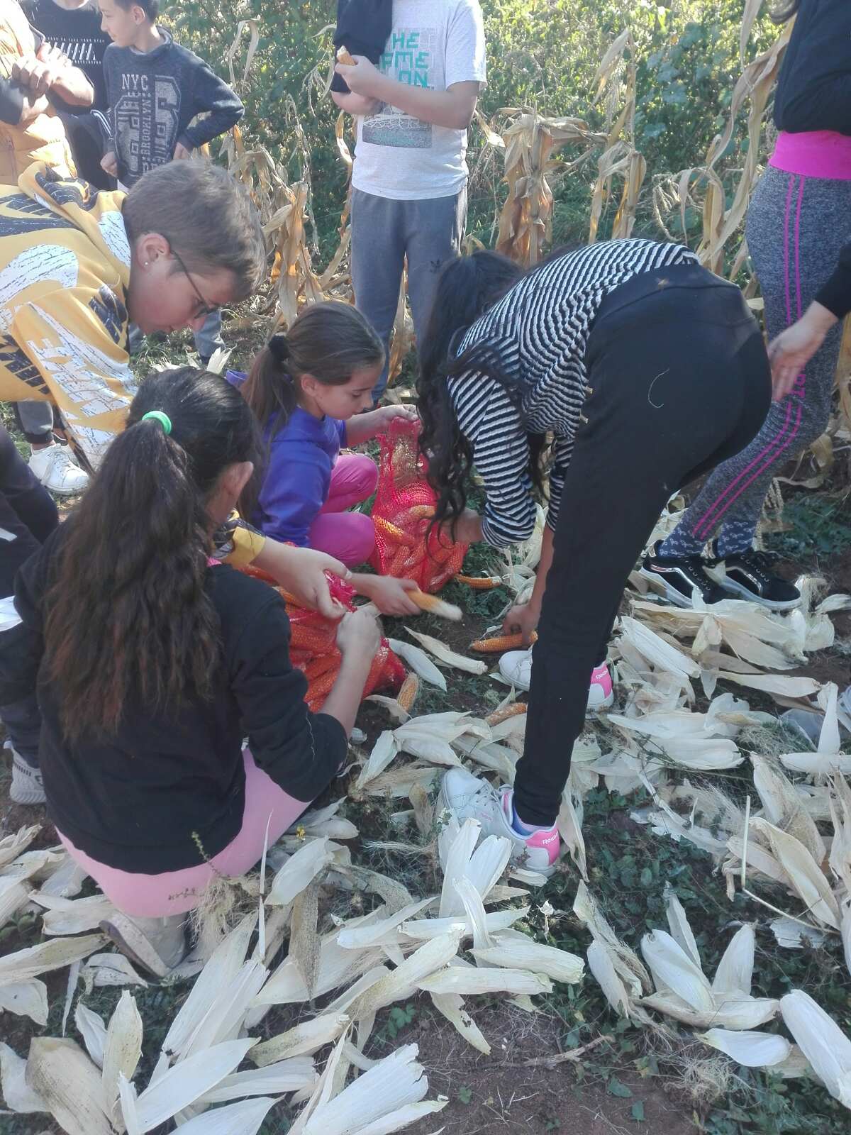 0-02-0a-05c57a8803caa13b706c44a16fb076cdf4e81c3f0e400a5f1498aa3bf4ad7235_2dd0e8d38b672353