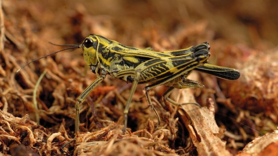 122475564 968a0caa d626 44ee b402 4a87948f7f94