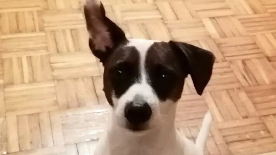 123041414 imagefromios 45